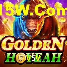 Daily Bonuses V5V